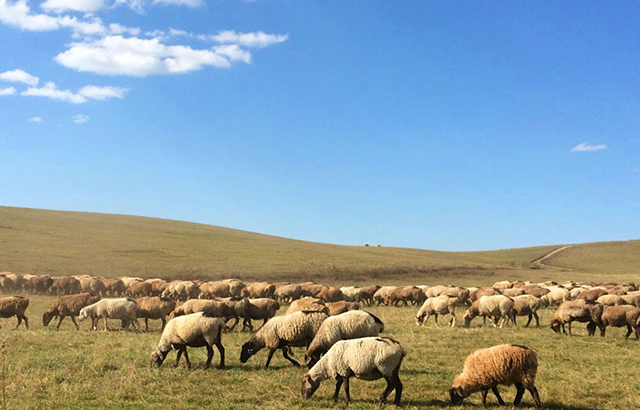 1486603418555967.jpg t2.jpg