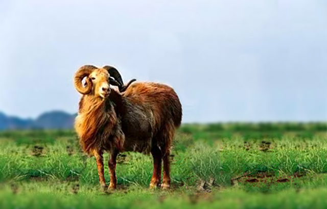 1486603703875409.jpg t1.jpg