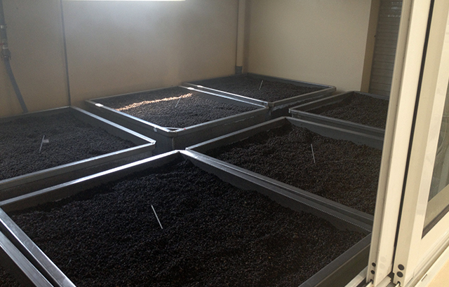 1487727924384596.jpg 未標題-11.jpg