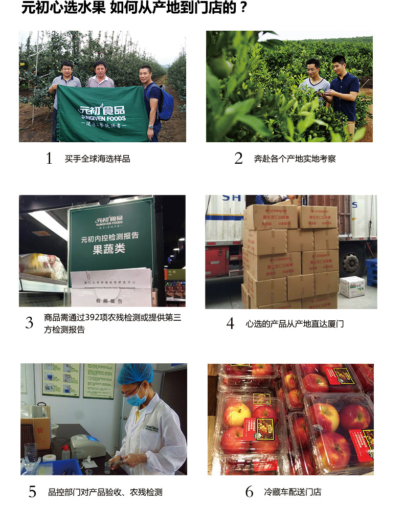 1487818991337341.jpg shuiguo_07--01.jpg